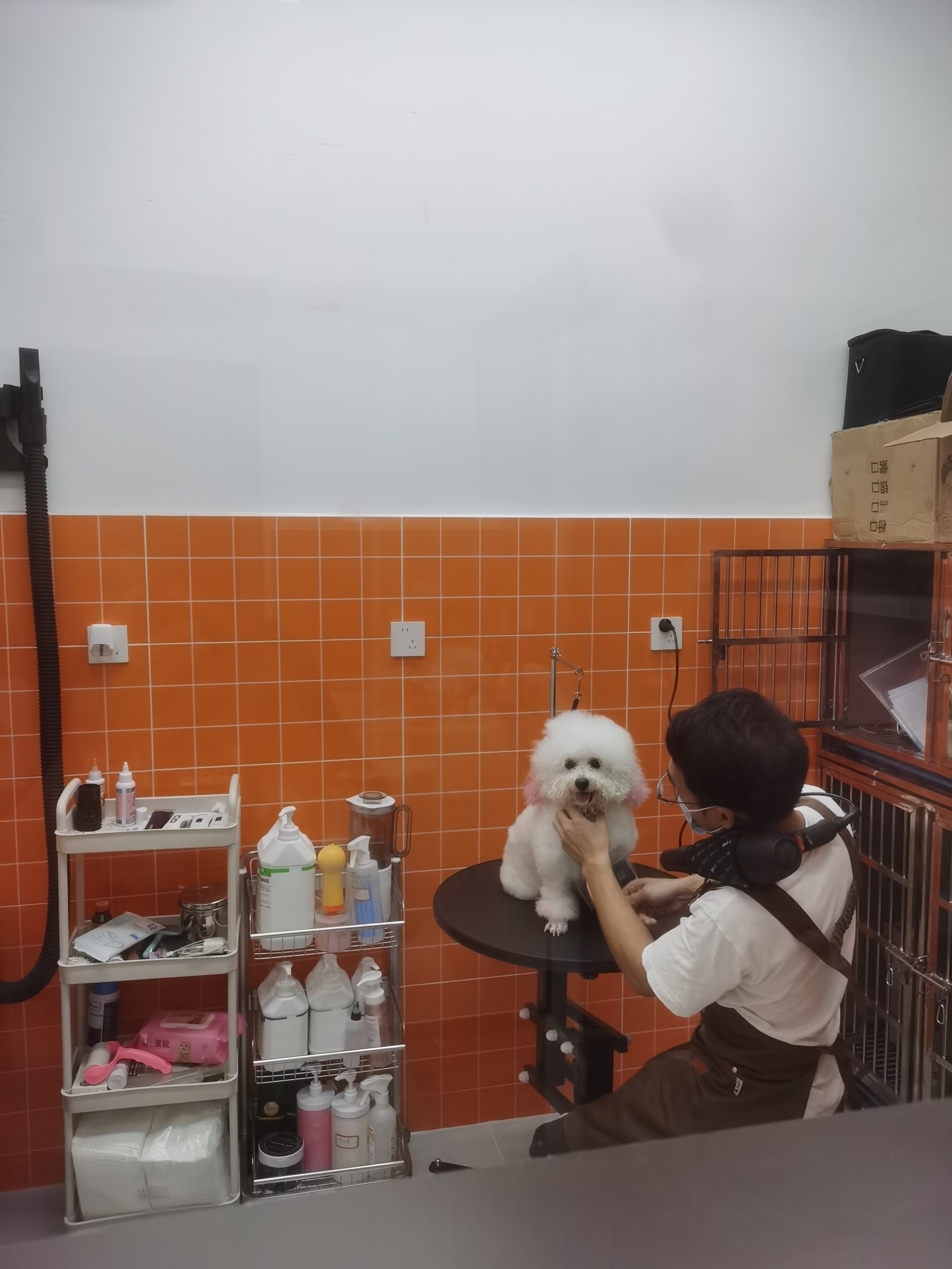 24小时智能化自助宠物店